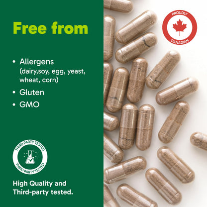 Organika Canadian-Made Chanca Piedra 500 mg - UTI Support | Kidney, Gallblader and Urinary Support, Cleansing- 90 vcaps Organika