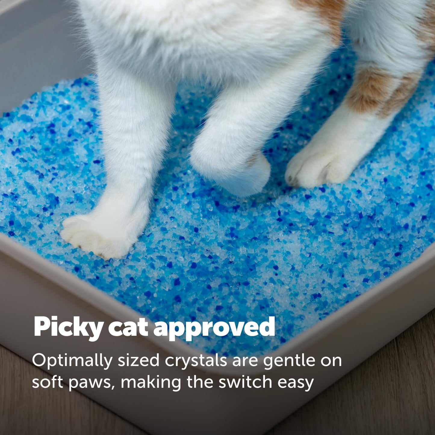 PetSafe ScoopFree Premium Fresh Crystal Cat Litter, 3-Pack – Lightly Scented Litter – Superior Odor Control – Low Tracking for Less Mess – Lasts Up to 6 Months, 24 lbs Total (3 Pack of 8 lb Bags)