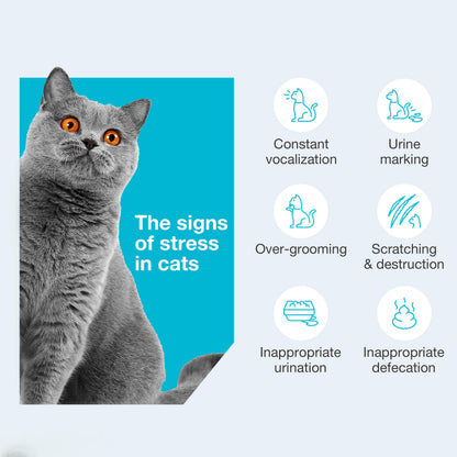 Vetoquinol Zylkene – Veterinary Health Product - Calm and Relaxed Behaviour in Pets During Stressful Events - 75 mg - Cats and Small Dogs - 30 Caps