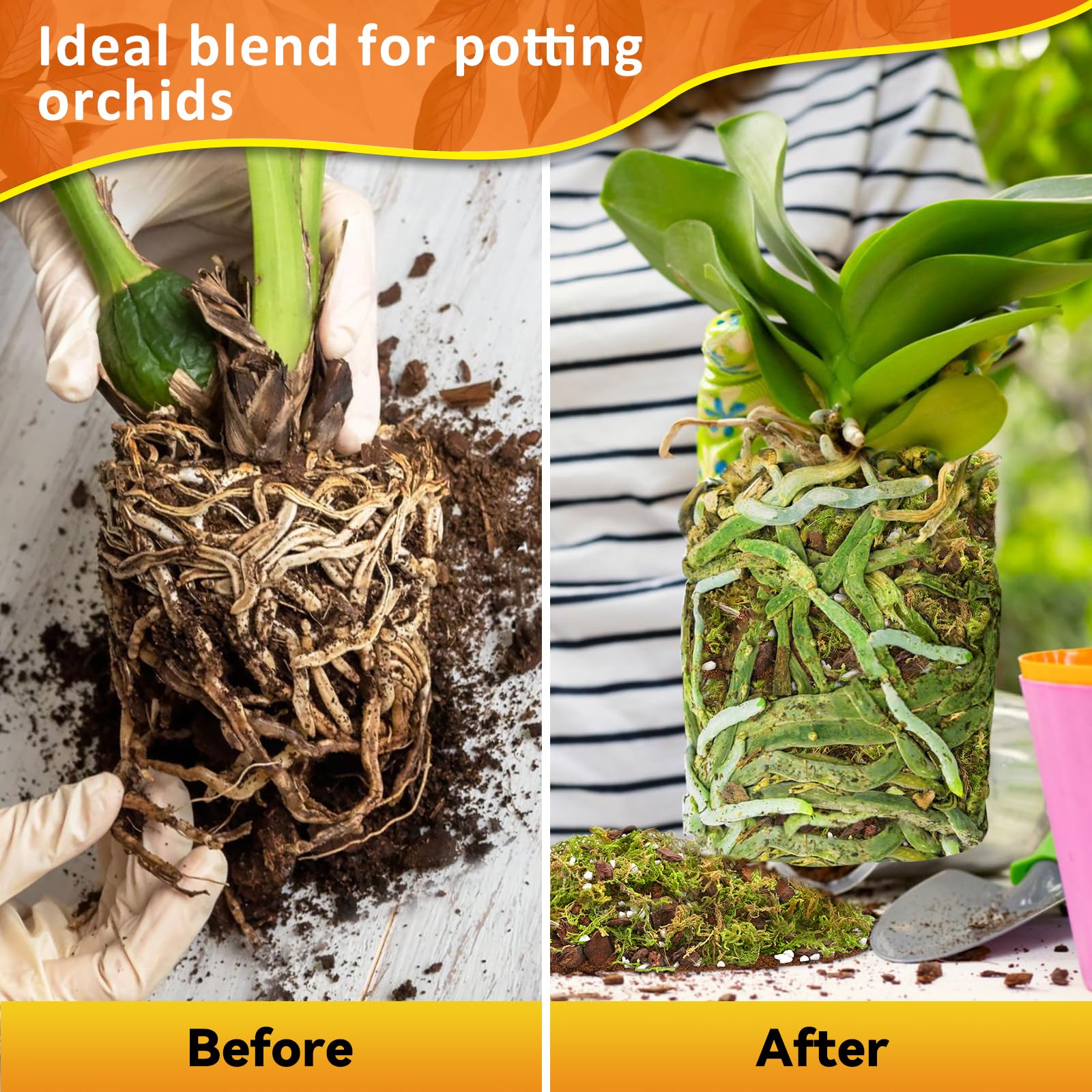 Riare 2L Orchid Potting Mix for Repotting- Orchids Repotting Kit Include Moss, Pine Bark, Perlite, Coco Peat- Premium Orchid Soil Medium for Indoor Potted Plants Root Ventilation & Expanding - Available at All In One Marketplace Canada