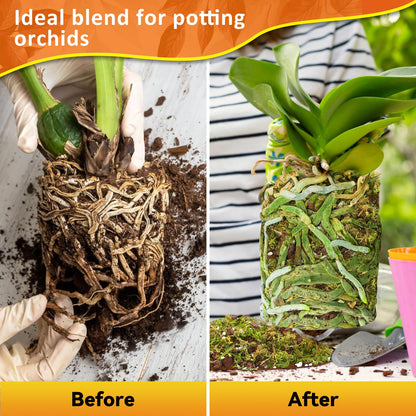 Riare 2L Orchid Potting Mix for Repotting- Orchids Repotting Kit Include Moss, Pine Bark, Perlite, Coco Peat- Premium Orchid Soil Medium for Indoor Potted Plants Root Ventilation & Expanding - Available at All In One Marketplace Canada