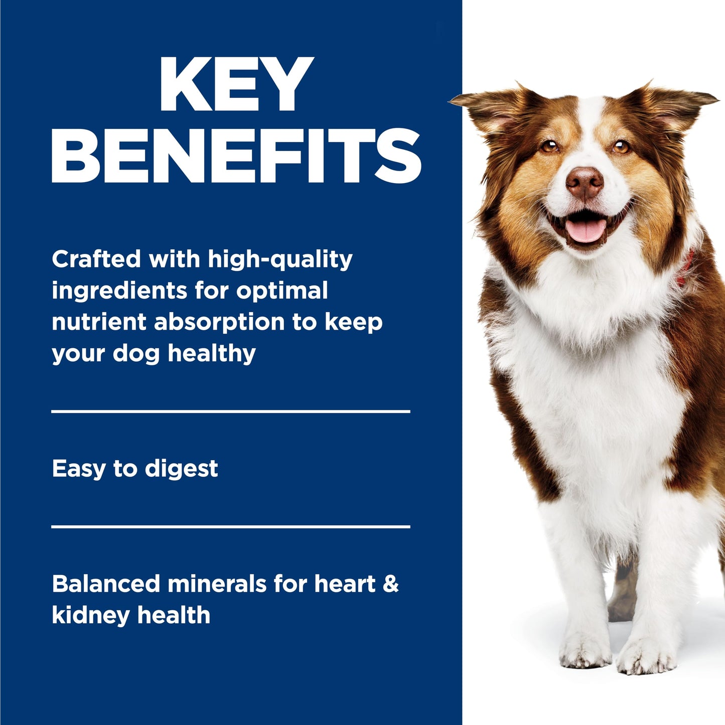 Hill's Science Diet Senior 7+ Canned Dog Food, Chicken & Barley Entrée 12 x 370 g Can 🍁 All In One Marketplace Canada