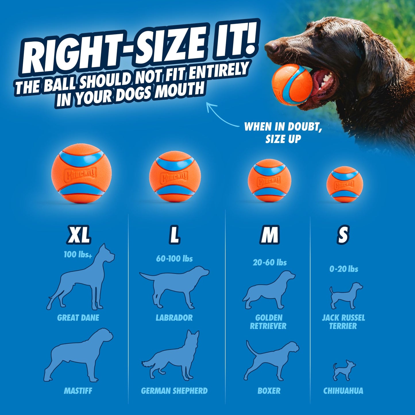 Chuckit! Fetch Ball Medley, Medium, Dog Ball, 3 Pack, Ultra, Fetch and Rugged Balls Included