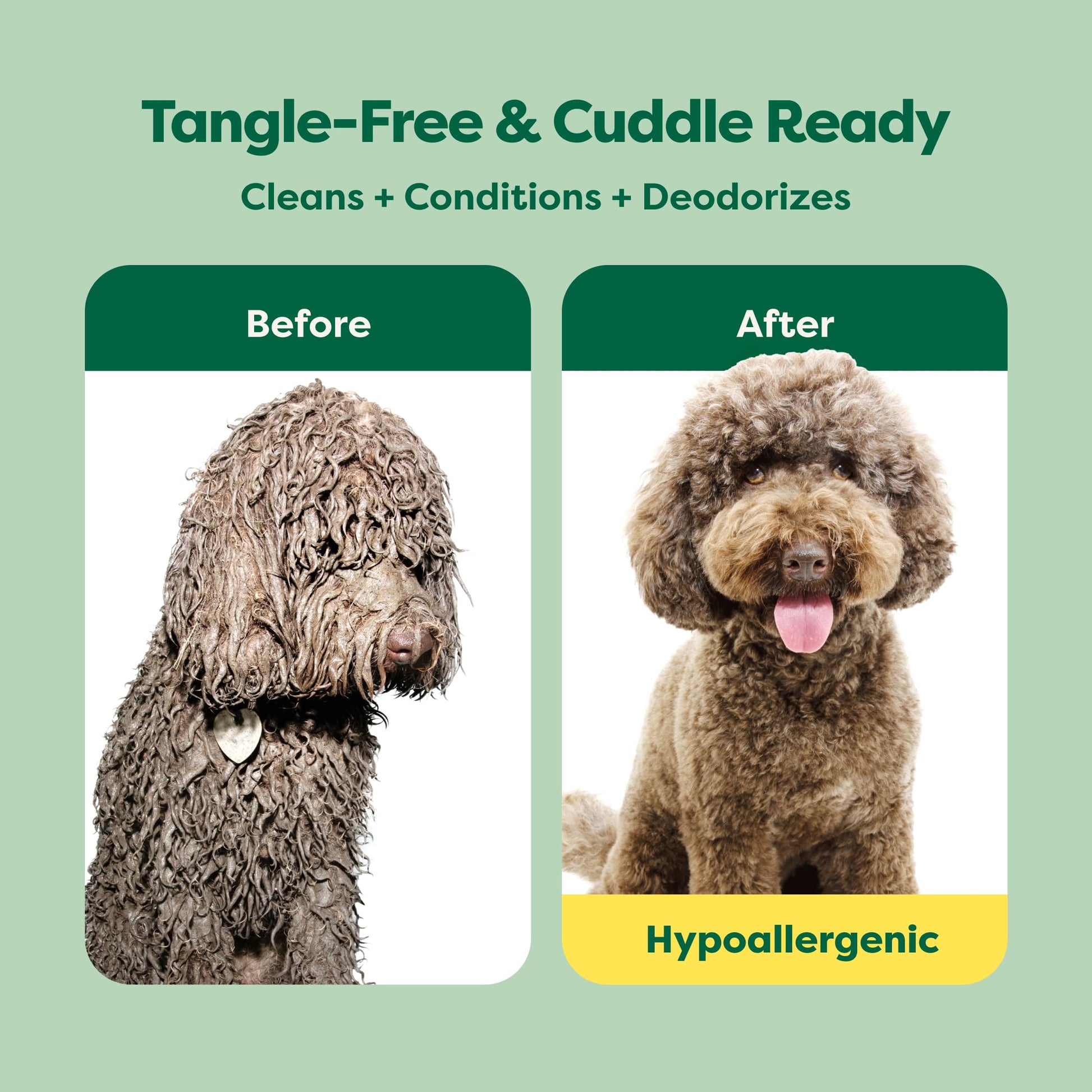 Earth Rated (A Canadian Company), 3-in-1 Detangling Dog Shampoo and Conditioner, Deodorizing Oatmeal Shampoos for Dogs and Puppies, Great for Smelly Pets, White Tea and Basil Scent, 473 ml