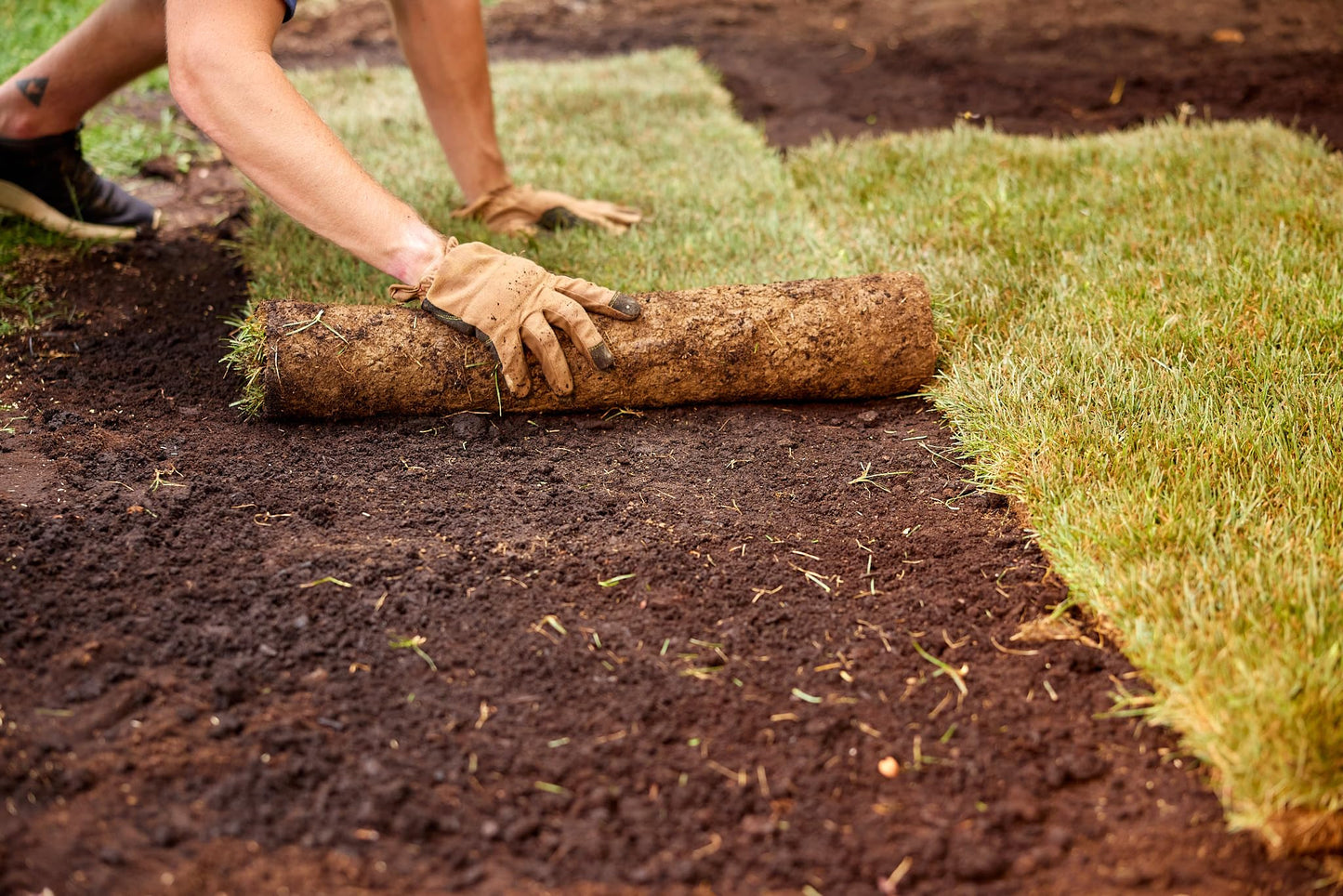 Scotts 3219 Turf Builder Starter Lawn Food for New Grass 24-25-4, 4.7kg for Coverage of 320m² - Available at All In One Marketplace Canada