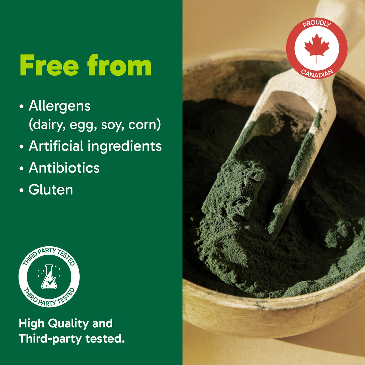 Organika Chlorella Certified Organic Powder- Broken Cell Wall for Enhanced Bioavailability, Extensive Nutrient Profile, Alkalining, Detoxify- 300g