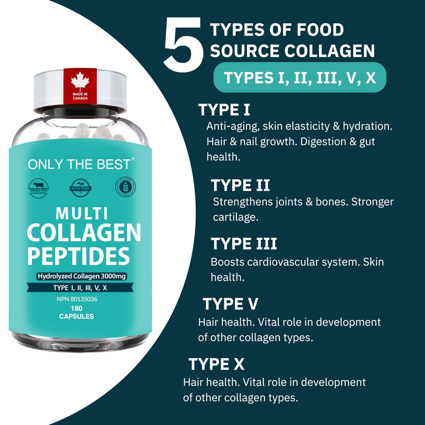 Premium Multi Collagen Peptides Capsules 3000mg - Types I, II, III, V, X To Support Skin, Hair, Nails & Bones - Helps Maintain Strong Joints, Ligaments, Muscles, & Digestive Health* - Hydrolyzed Collagen Supplement 180 Capsules - Available at All In One Marketplace Canada