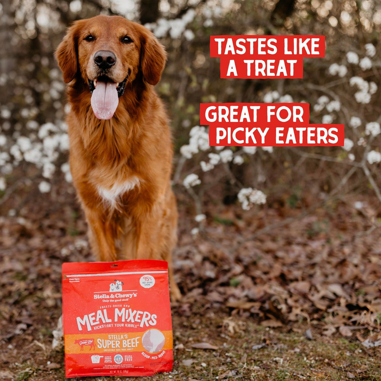 Stella & Chewy’s Freeze Dried Raw Super Beef Meal Mixer – Dog Food Topper for Small & Large Breeds – Grain Free, Protein Rich Recipe – 510g Bag
