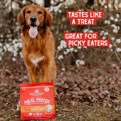 Stella & Chewy’s Freeze Dried Raw Super Beef Meal Mixer – Dog Food Topper for Small & Large Breeds – Grain Free, Protein Rich Recipe – 510g Bag