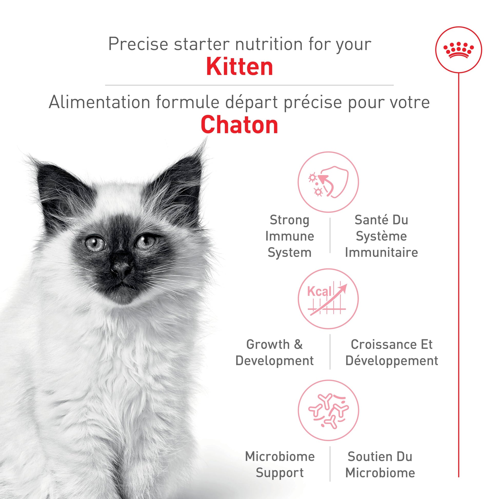 Royal Canin Feline Health Nutrition Dry Kitten Food, Supports Digestive Health, Immune Support and Healthy Energy, 3 lb Bag - Available at All In One Marketplace Canada