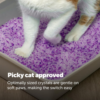 PetSafe ScoopFree Premium Lavender Crystal Cat Litter, 3-Pack – Lightly Scented Litter – Superior Odor Control – Low Tracking for Less Mess – Lasts Up to 6 Months, 24 lb Total (3 Pack of 8 lb Bags)