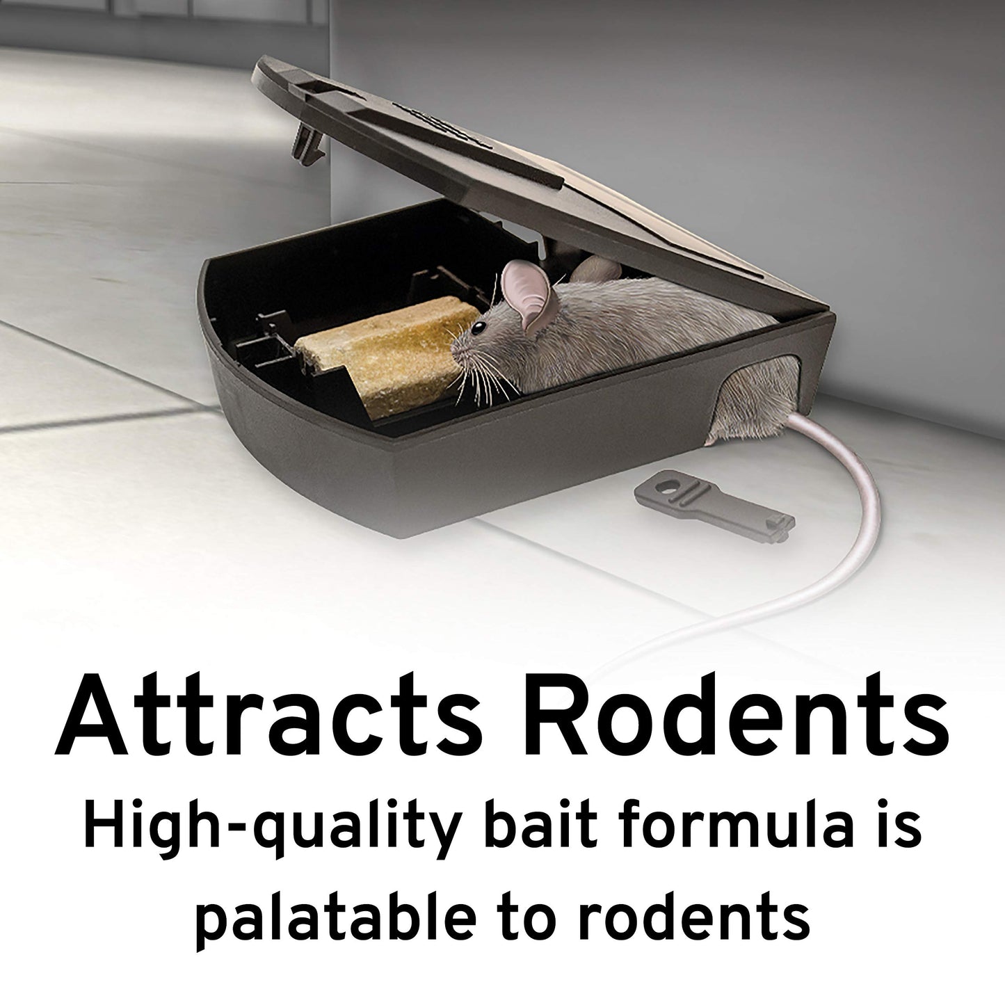 Victor Fast-Kill Refillable Mouse Poison Bait Station - Mouse Poisoning Bait - Mice Poisoning Station - Reusable Rodent Bait Stations 🍁 All In One Marketplace Canada