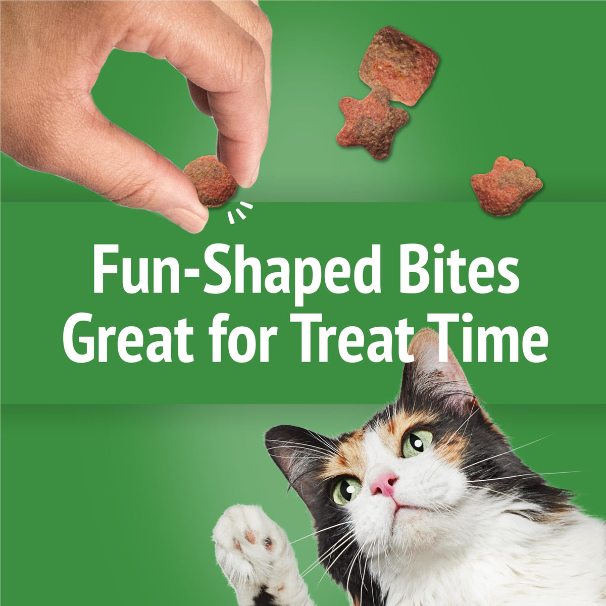 Friskies Party Mix Cat Treats, Gravy-Licious Crunch Turkey 510g (3 Pack)
