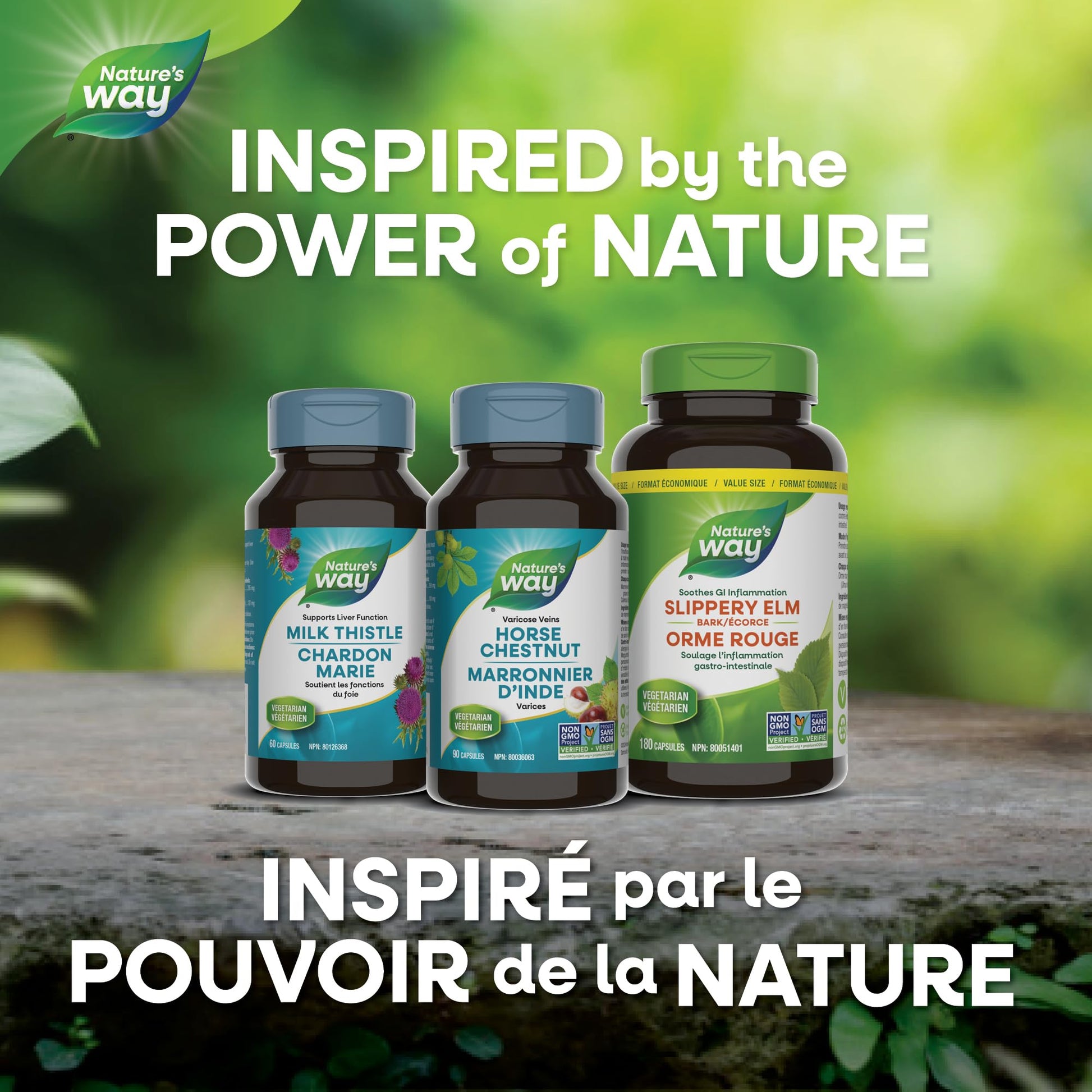 Nature's Way Horse Chestnut Supplement – Helps Treat Varicose Veins and Associated Symptoms – Digestive System Inflammation Relief – 100mg Calendula, 250mg Horse Chestnut – 90 Vegetarian Capsules - Available at All In One Marketplace Canada