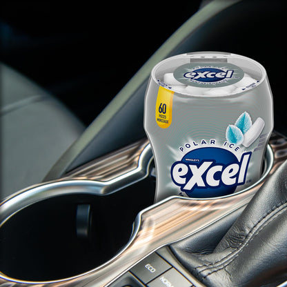 EXCEL, Polar Ice Flavoured Sugar Free Chewing Gum, 60 Pieces, 6 Bottles - Available at All In One Marketplace Canada