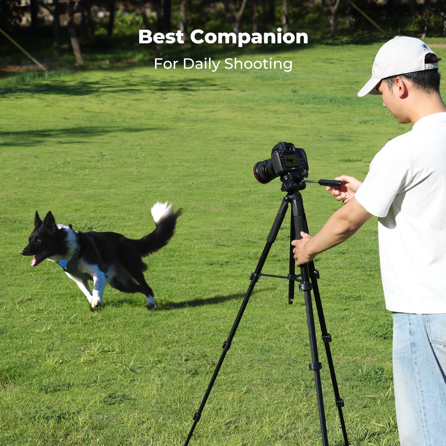 K&F CONCEPT 75" Lightweight Tripod, Camera Compact Tripod with Remote and 2-in-1 Phone Holder,Travel Phone Tripod with Removable 3-Way Pan Head for Selfie/Video Recording/Photo/Live Stream/Vlog