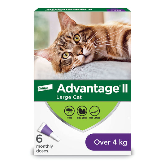 Advantage II Flea Protection for Large Cats weighing over 4 kg (over 9 lbs.) - 6 doses