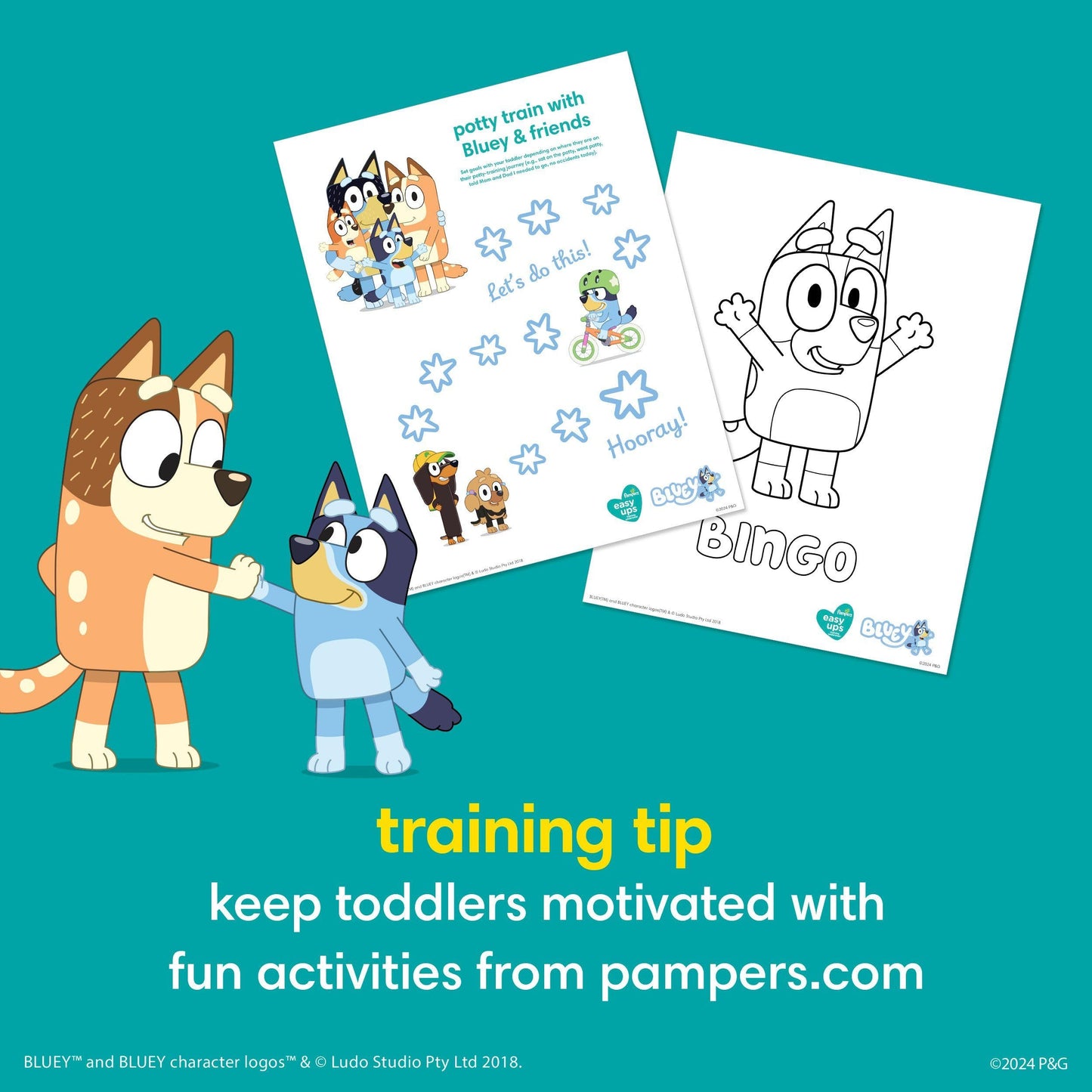 Pampers Easy Ups Girls & Boys Potty Training Pants, Size 4 (2T3T), 74 Count, Bluey Absorbent Training Underwear, Up to 100% Leakproof Day and Night, Hypoallergenic 🍁 All In One Marketplace Canada