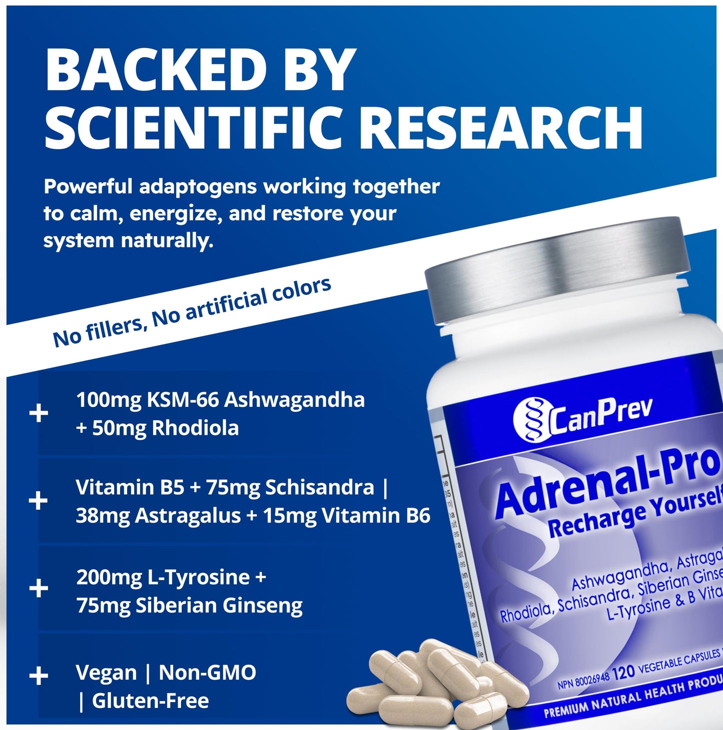 CanPrev Adrenal-Pro Recharge Yourself, 120 Vegan V-Caps with Siberian Ginseng, 30-Day Supply with Ashwagandha, Astragalus, L-Tyrosine, B5 & B6 - Supports Energy Levels, Physical and Mental Vitality - Available at All In One Marketplace Canada