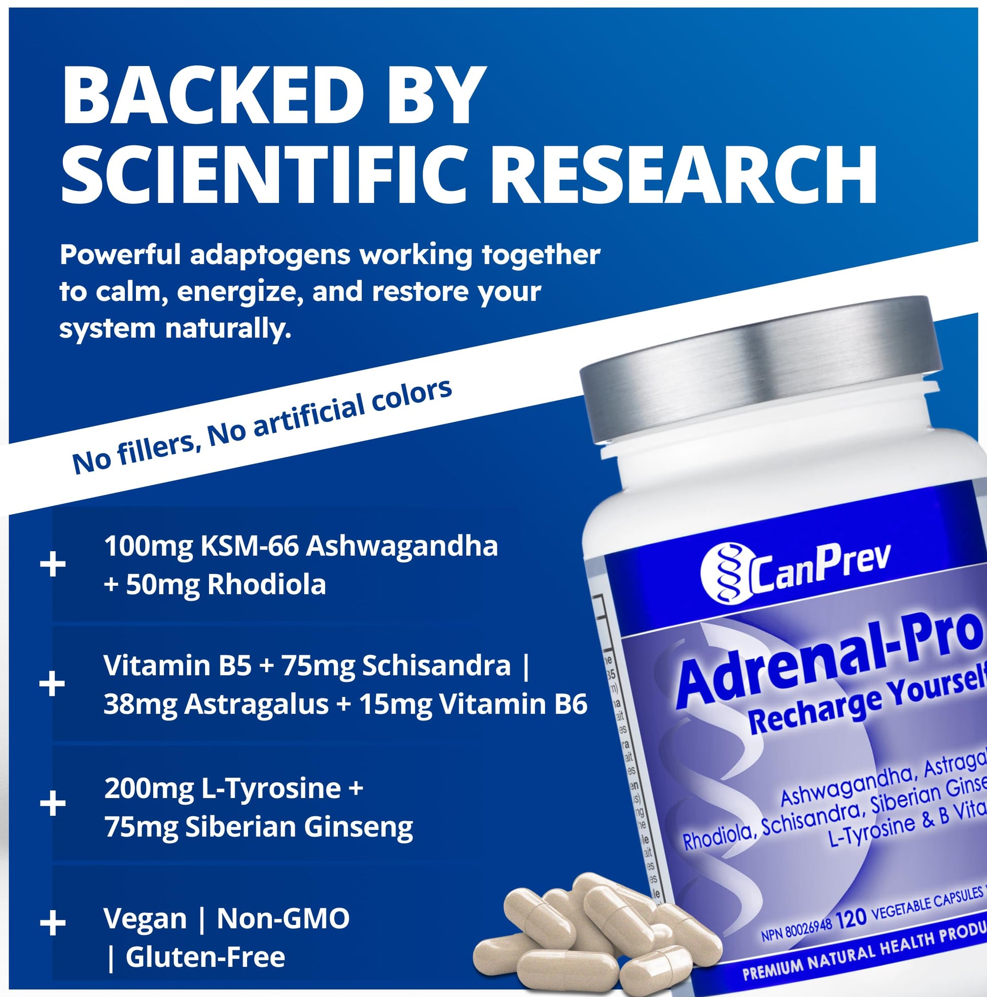 CanPrev Adrenal-Pro Recharge Yourself, 120 Vegan V-Caps with Siberian Ginseng, 30-Day Supply with Ashwagandha, Astragalus, L-Tyrosine, B5 & B6 - Supports Energy Levels, Physical and Mental Vitality - Available at All In One Marketplace Canada