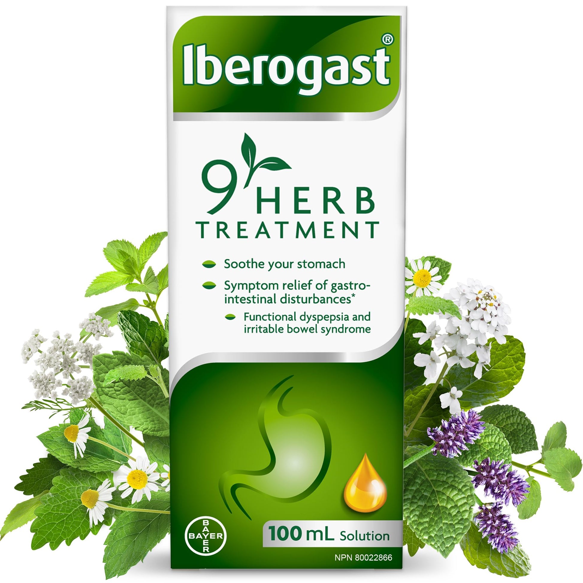 Iberogast 9 Herb Gut Health Treatment - Naturally Sourced Extracts, Gut Supplements For Women And Men, Digestive Supplements To Relieve Gastrointestinal Disturbances And IBS Symptoms,100ml - Available at All In One Marketplace Canada