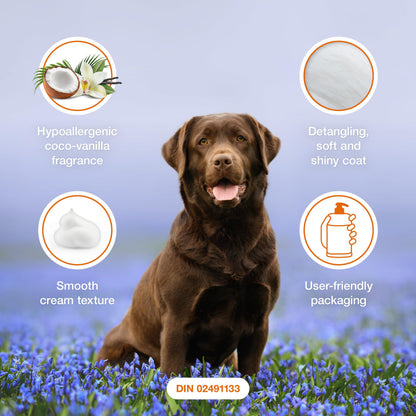 Douxo S3 Pyo Mousse, Contains 3% Chlorhexidine, for Dogs, 5.1 fl. oz. (150mL)