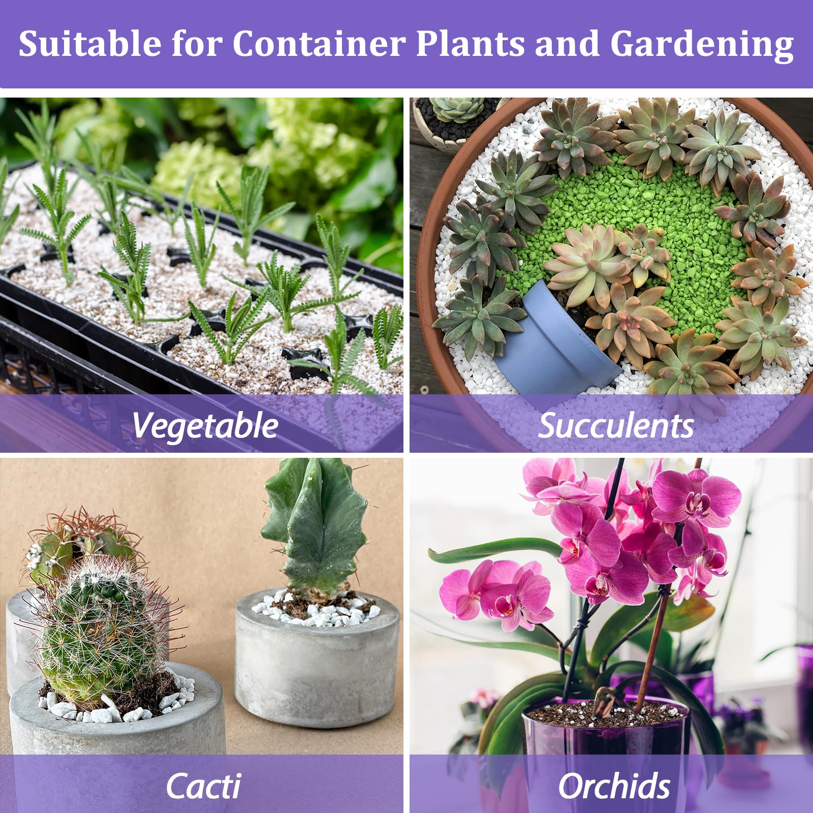 Riare 10 litres Organic Perlite for Plants - Horticultural Perlite Soil Amendment for Plants Potting Mix, Improve Root Growth, Drainage and Ventilation - Available at All In One Marketplace Canada
