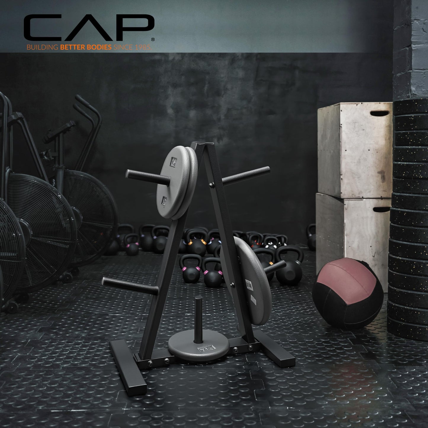 CAP Barbell 1-Inch Standard Weight Plate Rack | Black CAP