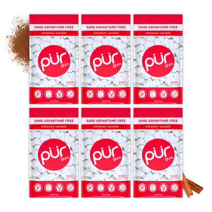 PUR Gum, Cinnamon, Xylitol Gum, No Artificial flavour, 330 Count (6x55)
