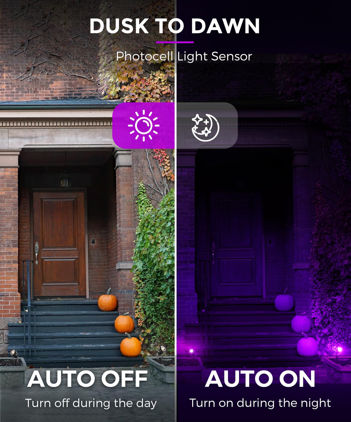 L LOHAS LED Halloween Lights Outdoor, Orange and Purple Spotlight 5W 🍁 All In One Marketplace Canada