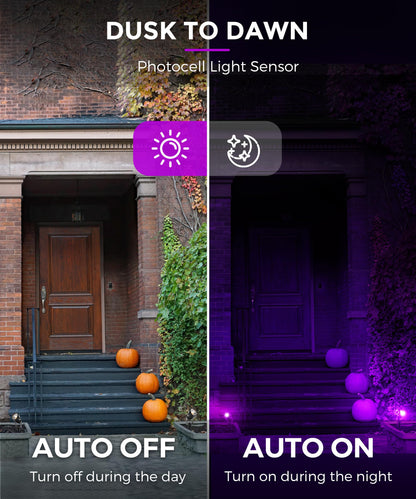 L LOHAS LED Halloween Lights Outdoor, Orange and Purple Spotlight 5W 🍁 All In One Marketplace Canada
