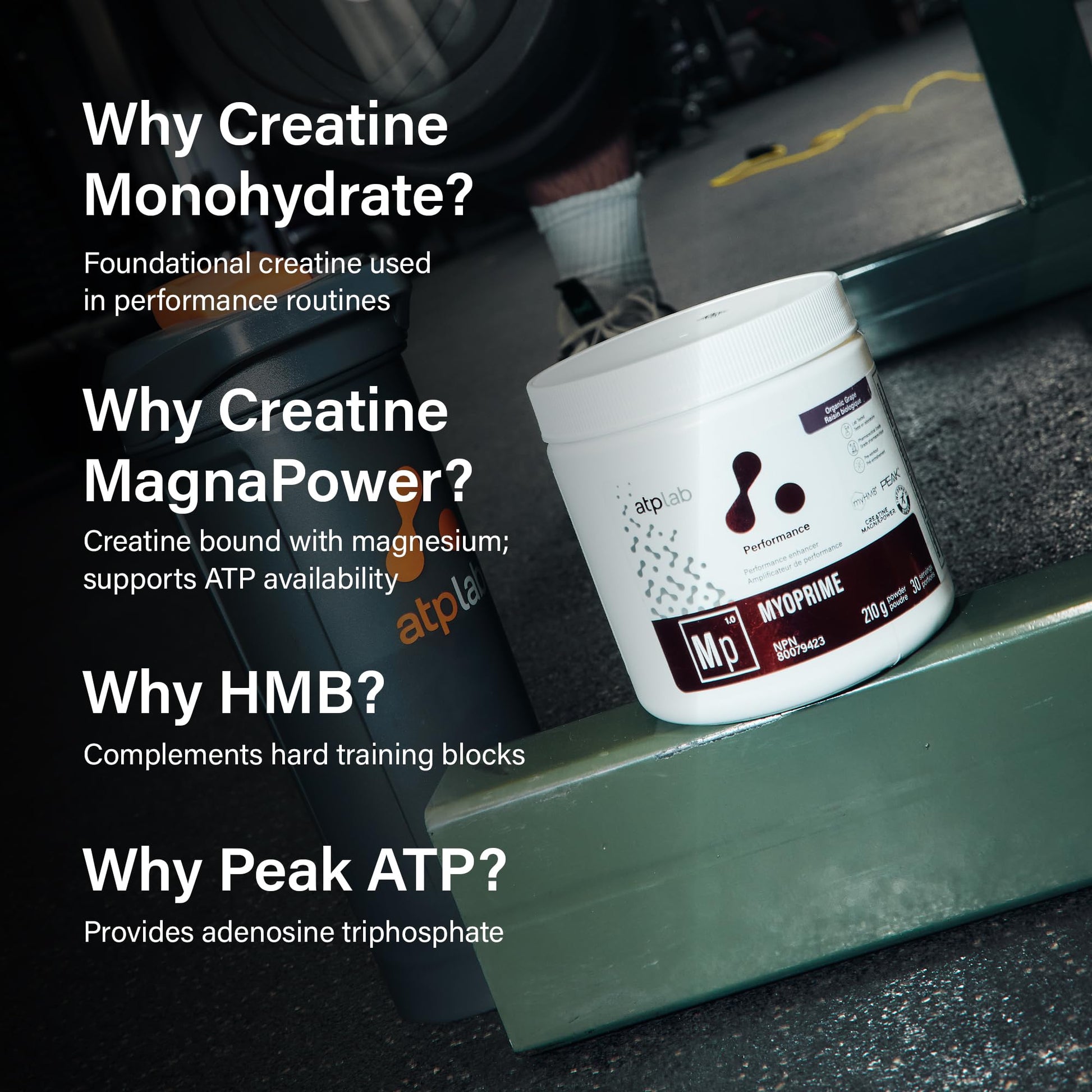 atplab Myoprime Creatine Monohydrate Powder, Creatine, Organic Grape, 210 g ATP LAB