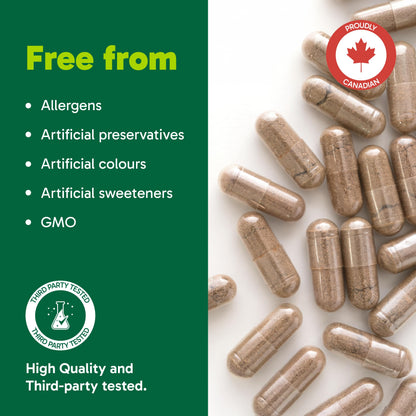 Organika Mushroom Extract - Reishi 180 Vcaps