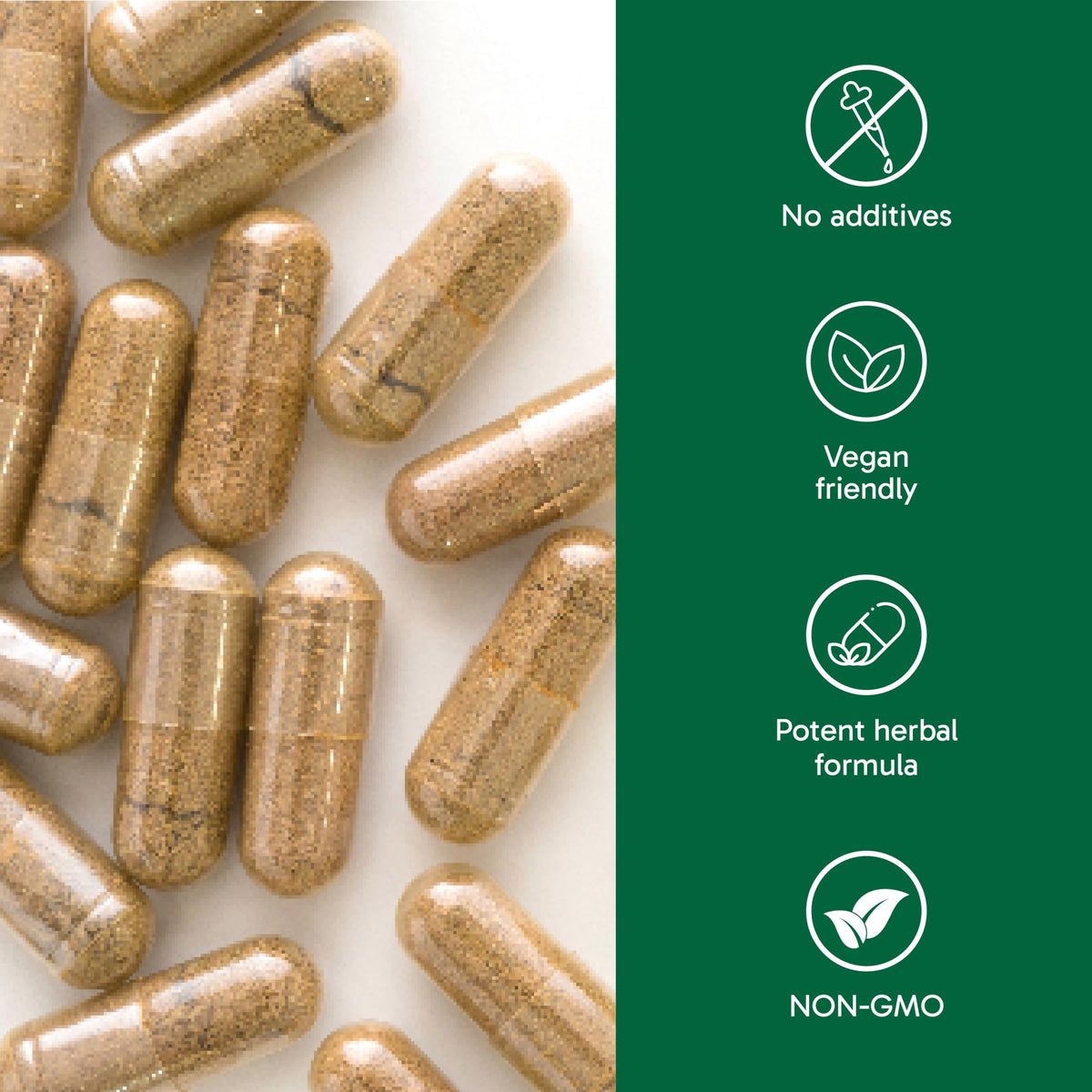 Organika Rhodiola 100mg 6:1 Extract- 3% Rosavins, 1% Salidroside- Adaptogen, Cognition Support, Mental Focus in Response to Stress- 60vcaps