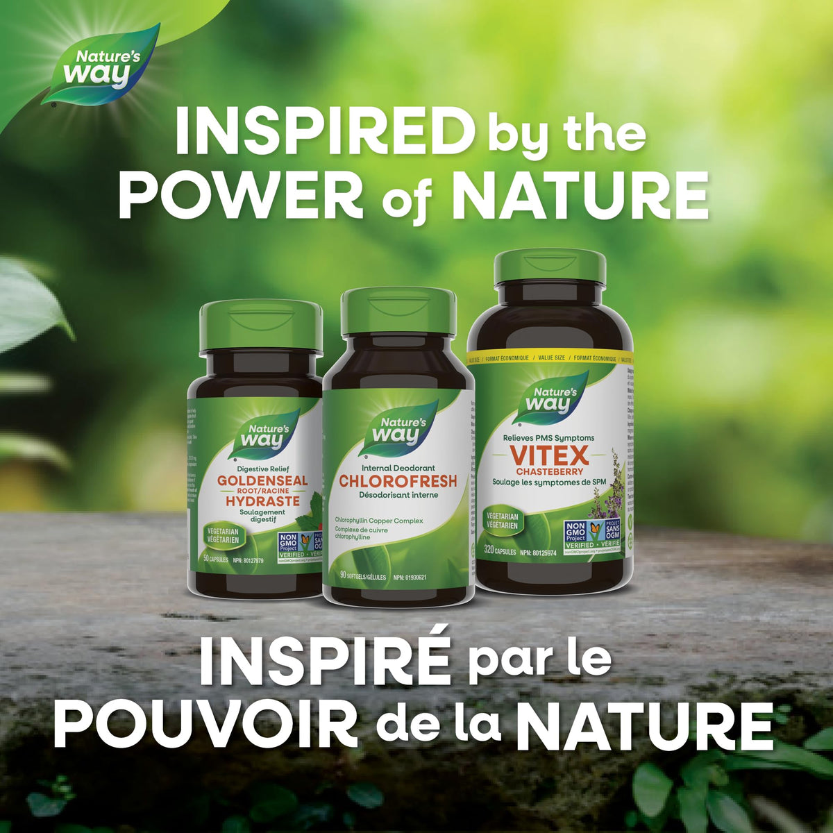 Nature's Way Premium Chlorofresh Softgels - Water-Soluble Chlorophyllin Copper Complex, Internal Deodorant, 90 Softgel Capsules