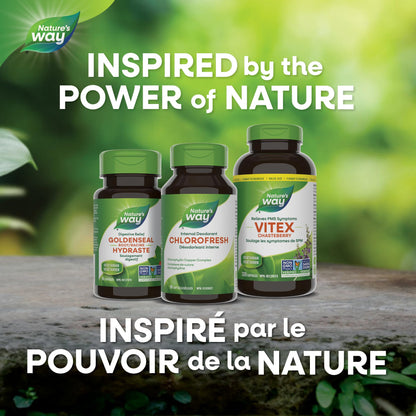 Nature's Way Premium Chlorofresh Softgels - Water-Soluble Chlorophyllin Copper Complex, Internal Deodorant, 90 Softgel Capsules