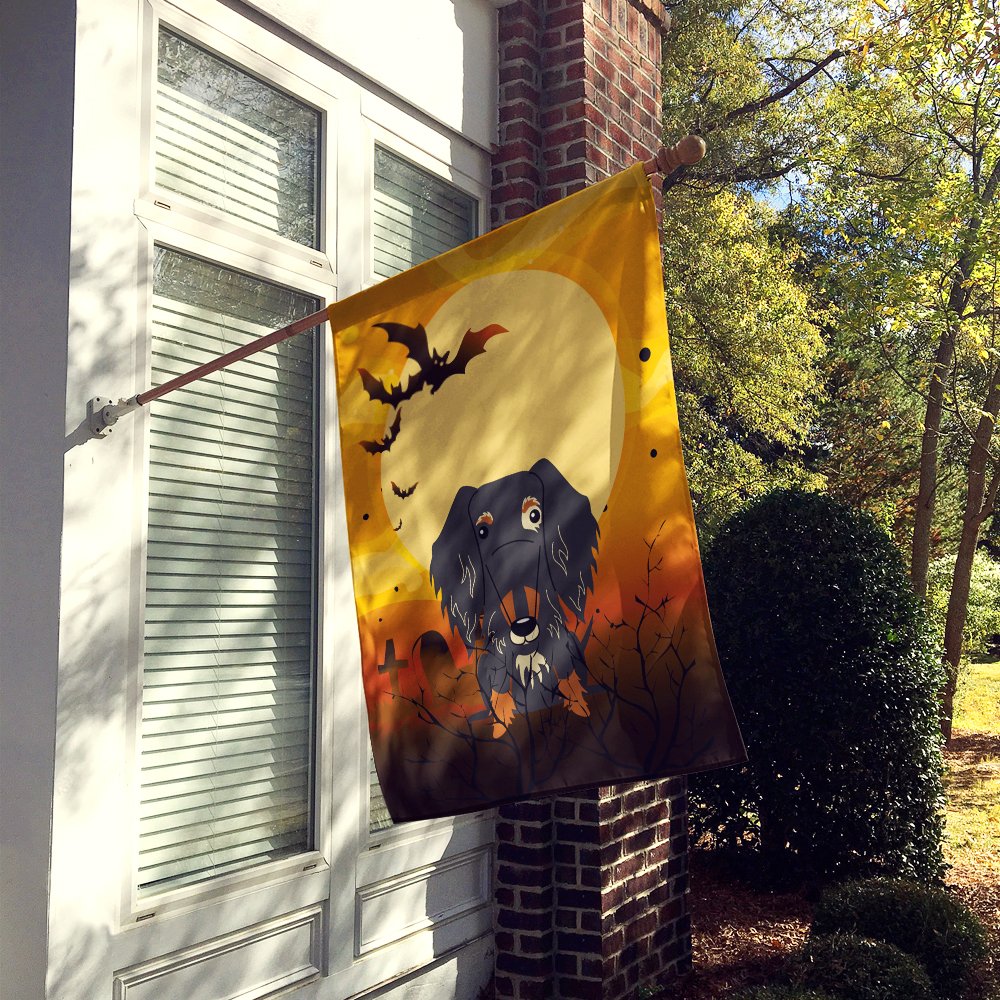 Drapeau de maison en toile Caroline's Treasures BB4394CHF, Teckel à poil dur, Halloween, grand format, multicolore