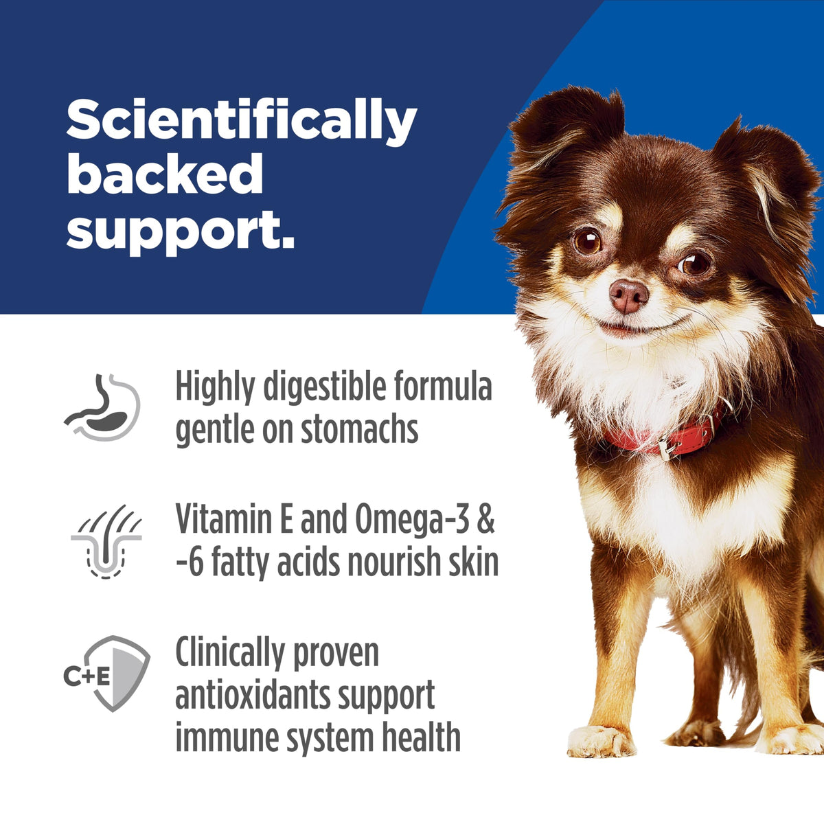 Hills Science Diet Sensitive Stomach & Skin Small-Mini Adult Dry Dog Food