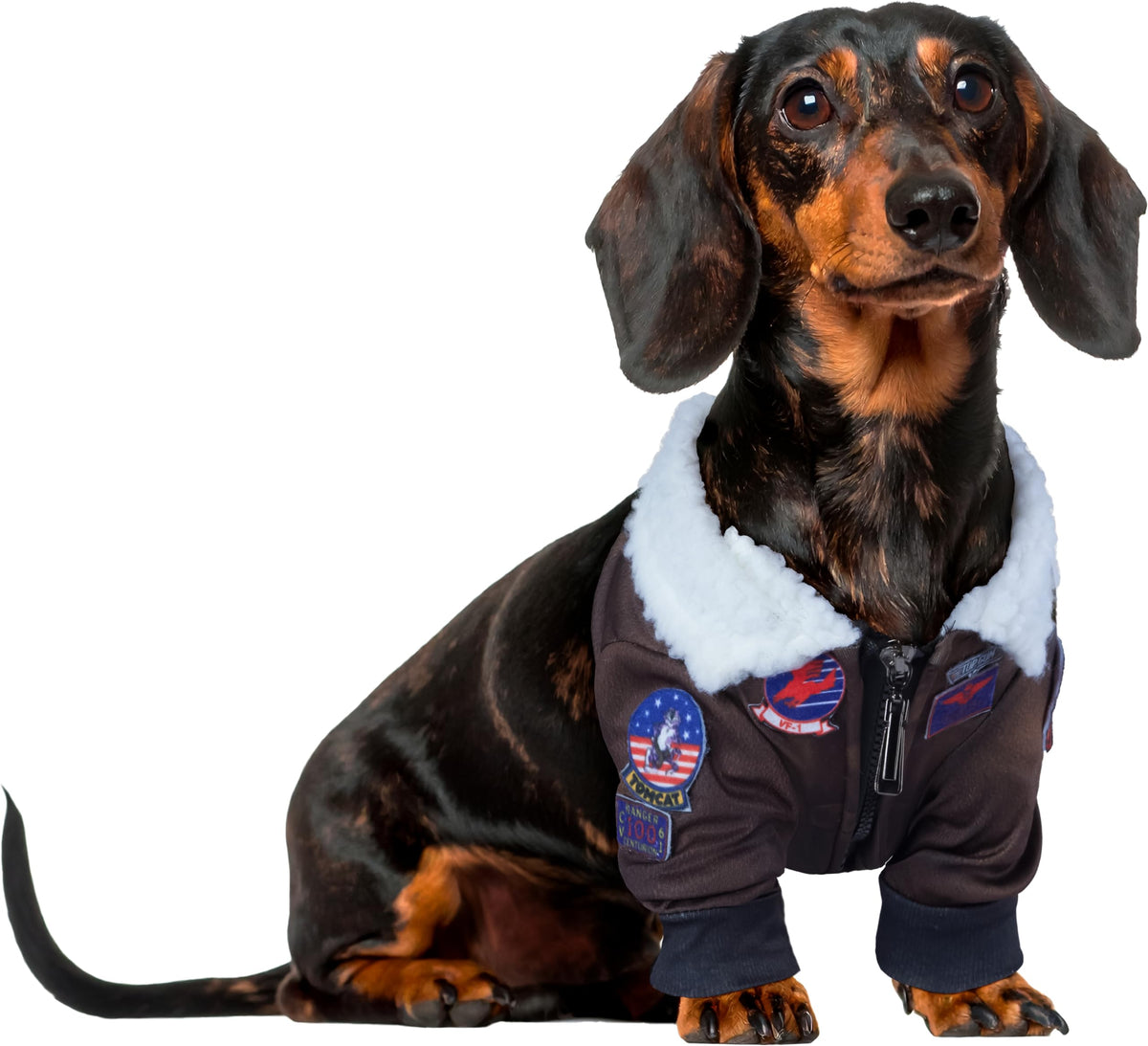 Costume pour animal de compagnie Rubies Top Gun Classic Movie, très grande taille, pour soirées à thème et Halloween