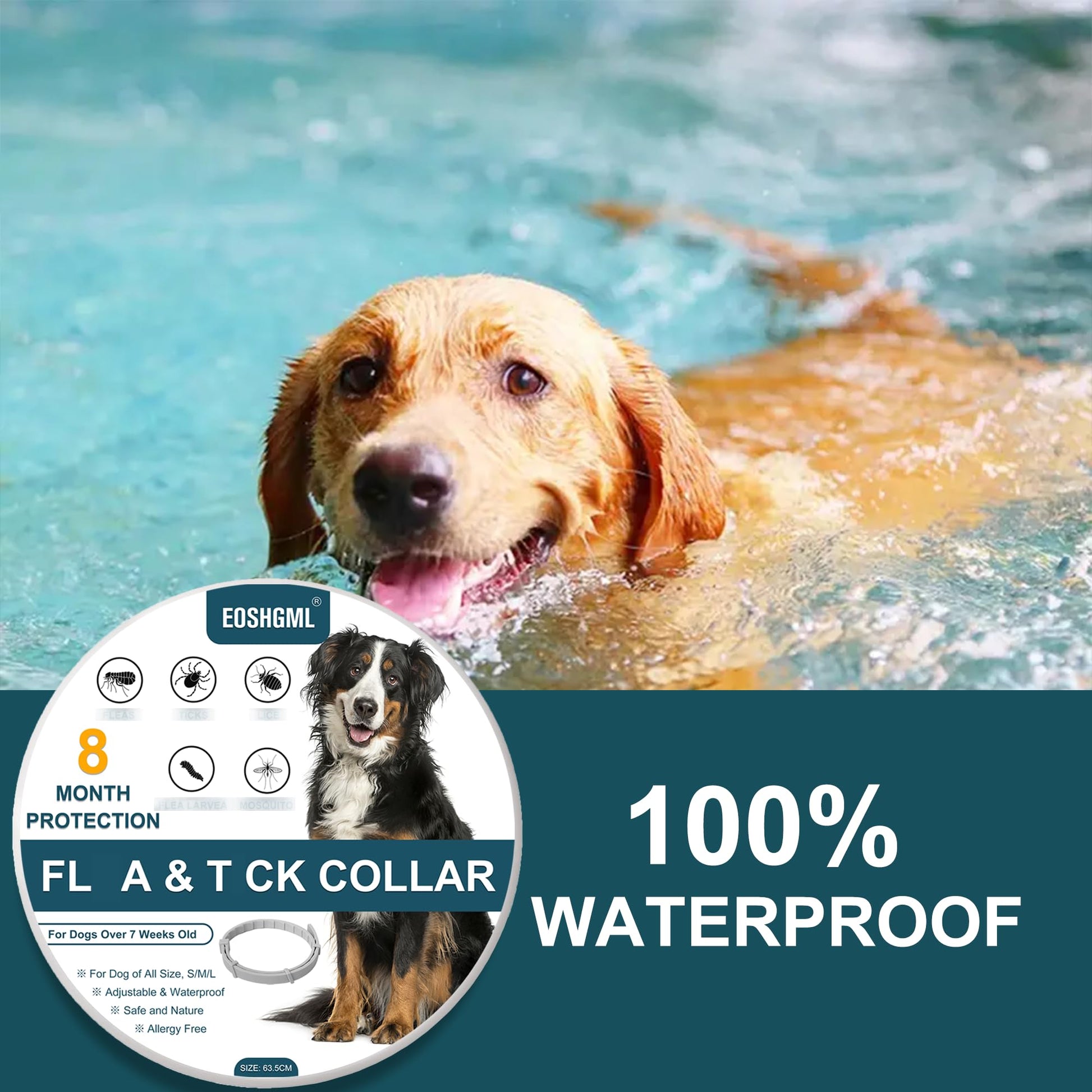 2 Pack Adjustable Collars for Dog, Prevention for 16 Months, Waterproof, 63.5cm for Small, Medium and Large Dogs, Over 7 Weeks Old Use - Available at All In One Marketplace Canada