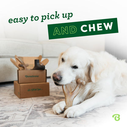 Benebone Large 4-Pack Dog Toys for Aggressive Chewers – Under 90 lbs