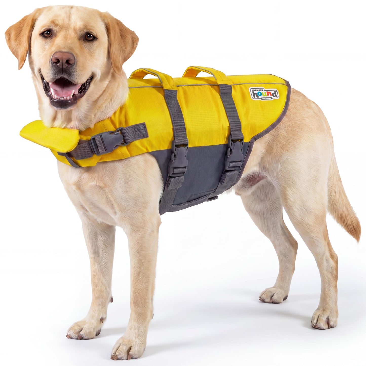 Outward Hound Granby Splash Dog Life Jacket with Handle, Reflective Floating Vest for Swimming & Boating, Maximum Buoyancy, All Skill Levels, Large Dogs (28–32" Girth), Yellow, Large