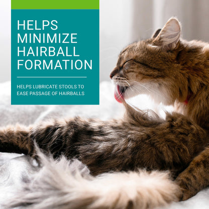 Vetoquinol Hairball-EZ – Veterinary Health Product – Helps Minimize Hairballs in Cats (Tuna) - Available at All In One Marketplace Canada