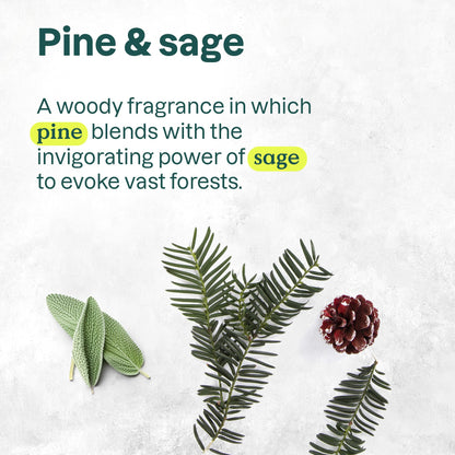 ATTITUDE Limited Edition Liquid Hand Soap, EWG Verified, Plant and Mineral-Based, Vegan Personal Care Products, Pine & Sage, 473 mL (Pack of 3) 🍁 All In One Marketplace Canada