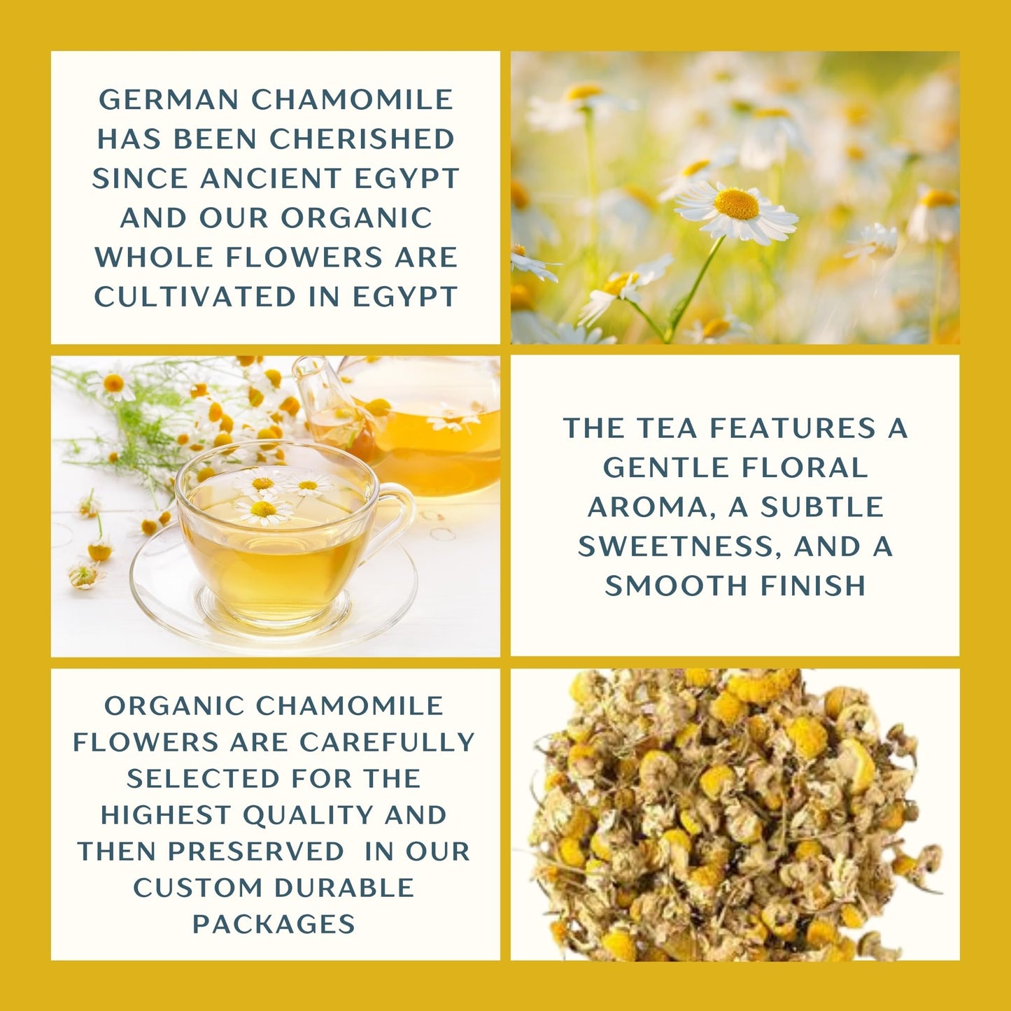 Dragonfly Herbs Organic Chamomile Tea – 250g Loose Whole Flowers, German Matricaria Chamomilla