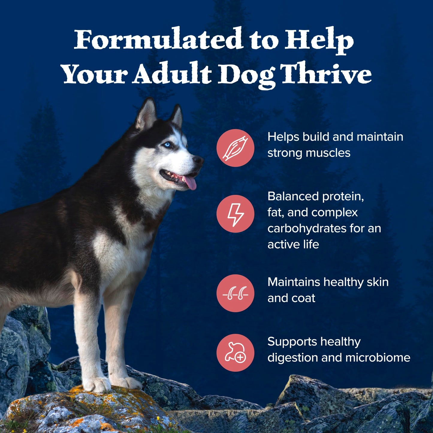 Blue Buffalo Wilderness with Salmon High Protein Grain Free Dry Dog Food for Adult Dogs, 34% Protein, Supports Immunity with Antioxidant-Rich LifeSource Bits 10.8 Kg/24lbs Bag 🍁 All In One Marketplace Canada