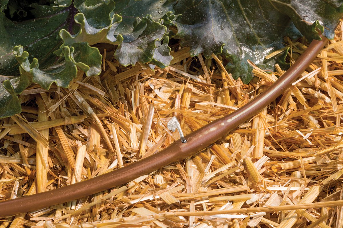 Rain Bird ET25-50S2 Drip Irrigation Pressure Compensating 1/4" Emitter Tubing, 12" Emitter Spacing, 50' Roll, Brown Rain Bird