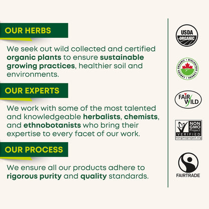 Traditional Medicinals - Tisane biologique de feuilles et racines de pissenlit (Lot de 6) - 96 sachets de thé au total