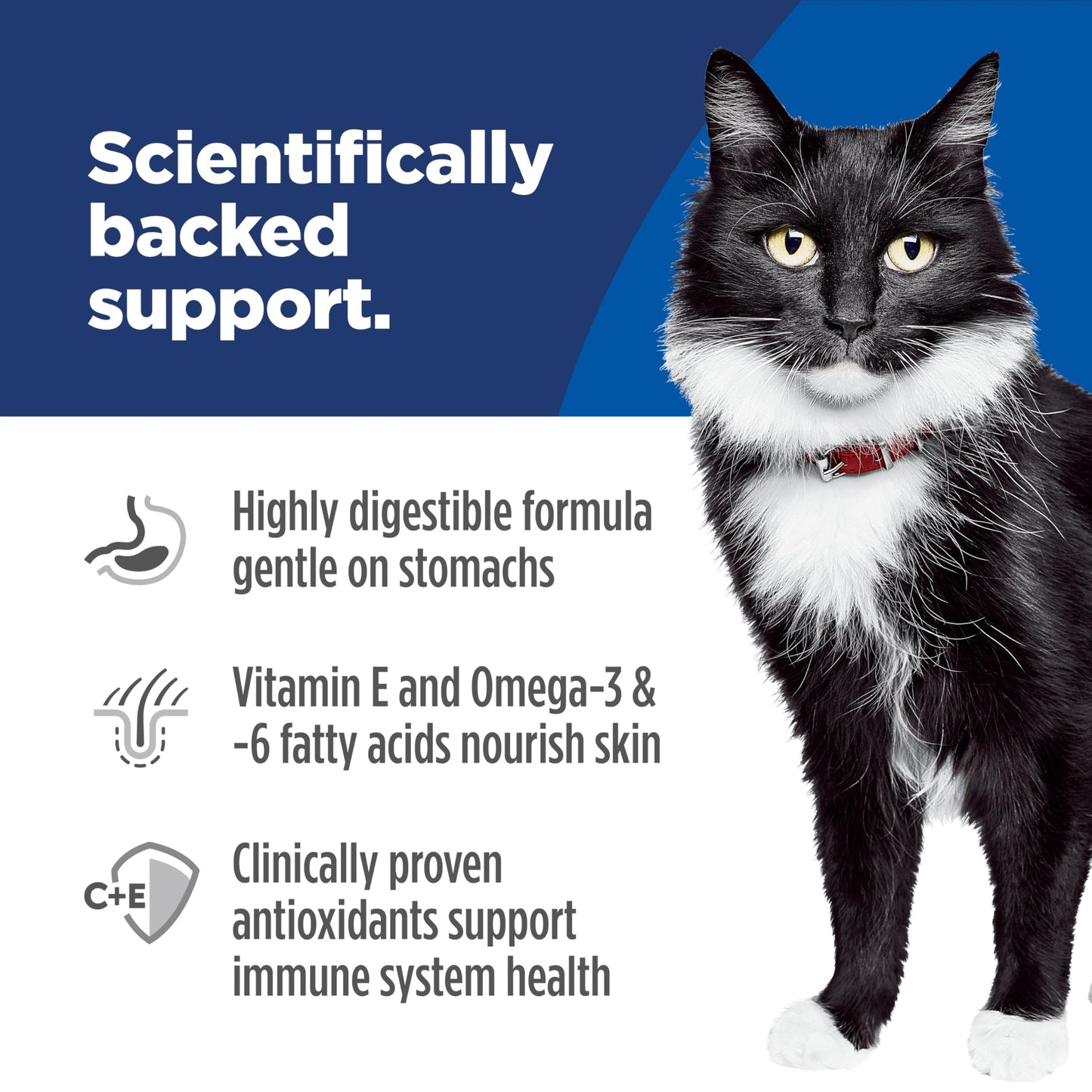 Hill's Science Diet Sensitive Stomach & Skin, Adult 1-6, Stomach & Skin Sensitivity Support, Dry Cat Food, Grain Free Salmon & Yellow Peas, 13 lb Bag Hill's Science Diet