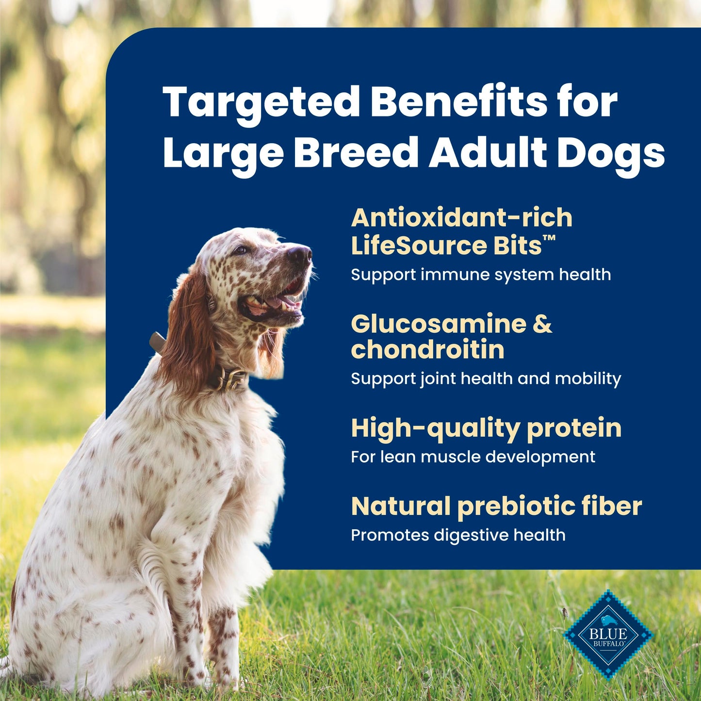 Blue Buffalo Life Protection Formula Large Breed Adult Dry Dog Food, Promotes Joint Health and Lean Muscles, Made with Natural Ingredients, Chicken & Brown Rice Recipe,11.7kg/26 lbs
